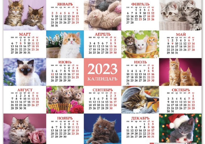 Календарь настенный листовой 2023 г., формат А2 (60х45 см), "Все любят котиков", HATBER, Кл2_28126
