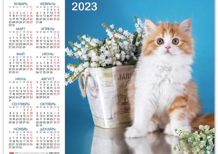 Календарь настенный листовой 2023 г., формат А2 (60х45 см), "Пушистое счастье", HATBER, Кл2_18008