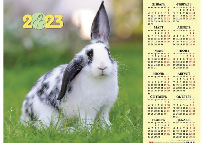 Календарь настенный листовой 2023 г., формат А2 (60х45 см), "Год Кролика 2", HATBER, Кл2_28014