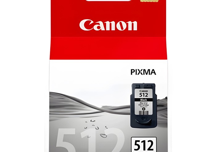 Картридж струйный CANON (PG-512) Pixma MP240, черный, оригинальный, 2969B007