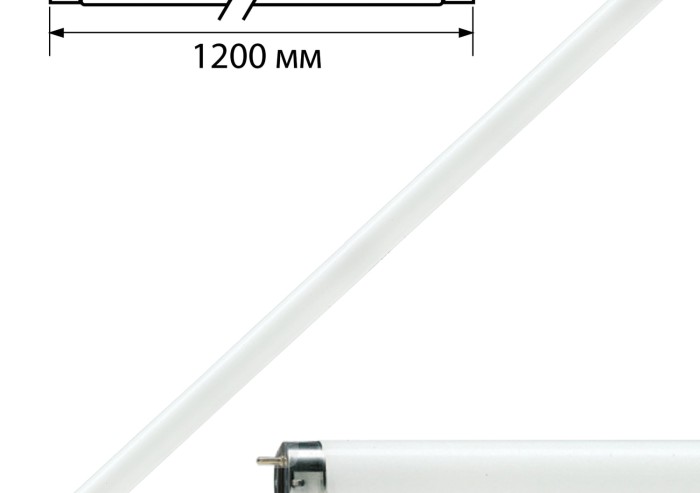 Лампа люминесцентная PHILIPS TL-D 36W/33-640, 36 Вт, цоколь G13, в виде трубки 120 см