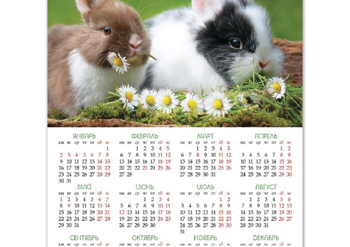 Календарь настенный листовой 2023 г., формат А2 (45х60 см), "Год Кролика", HATBER, Кл2_26235