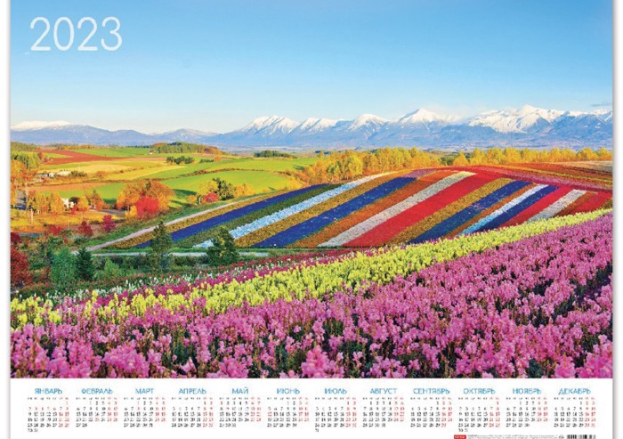 Календарь настенный листовой 2023 г., формат А2 (60х45 см), "Цветущие долины", HATBER, Кл2_27059