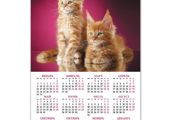 Календарь настенный листовой 2023 г., формат А3 (29х44 см), "Два котенка", HATBER, Кл3_18010
