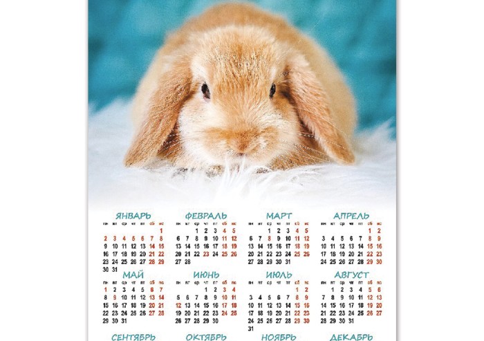 Календарь настенный листовой 2023 г., формат А3 (29х44 см), "Год Кролика", HATBER, Кл3_27914